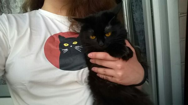 harajuku кот хлопок милый с короткими рукавами футболки женская летняя мода bf пара больших размеров -3xl повседневная новая футболка, White
harajuku кот хлопок милый с короткими рукавами футболки женская летняя мода bf пара больших размеров -3xl повседневная новая футболка, White
