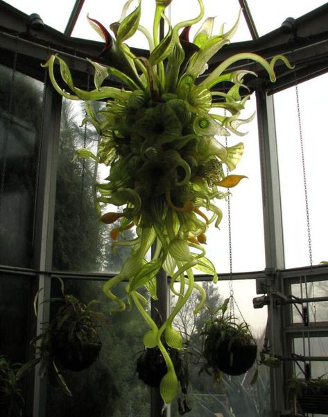 novelty hand blown glass nepenthes chandelier pendant lamps indoor foliage design miscellaneous chain chandelier lighting with led bulbs
novelty hand blown glass nepenthes chandelier pendant lamps indoor foliage design miscellaneous chain chandelier lighting with led bulbs