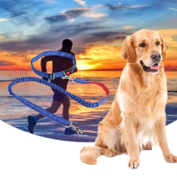 retractable leash for small pet dogs night reflective elastic nylon breakaway leashes running hand waist belt jogging leads
retractable leash for small pet dogs night reflective elastic nylon breakaway leashes running hand waist belt jogging leads