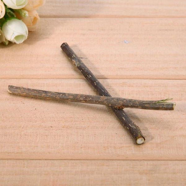 10/15/20pcs pure natural catnip pet cat molar toothpaste stick matatabi fruit silvervine cat snacks sticks pet cleaning teeth
10/15/20pcs pure natural catnip pet cat molar toothpaste stick matatabi fruit silvervine cat snacks sticks pet cleaning teeth