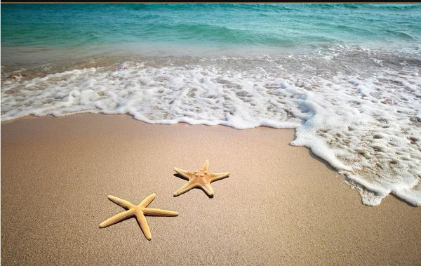 custom 3d mural floor wallpaper surf beach starfish dolphin 3d floor waterproof for bathroom 3d floor wall stickers vinyl kitchen wall paper
custom 3d mural floor wallpaper surf beach starfish dolphin 3d floor waterproof for bathroom 3d floor wall stickers vinyl kitchen wall paper