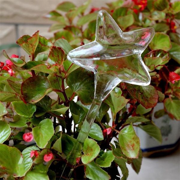 lumiparty beautiful lucky star self flower watering tool home decoration gardening supplies-35