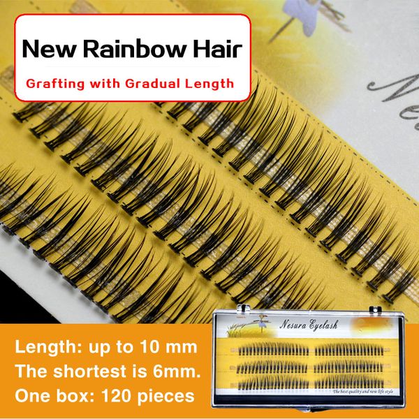 rainbow prefabricated sector grafted false eyelashes a cluster of dog tail long gradual mixed eyelashes
rainbow prefabricated sector grafted false eyelashes a cluster of dog tail long gradual mixed eyelashes