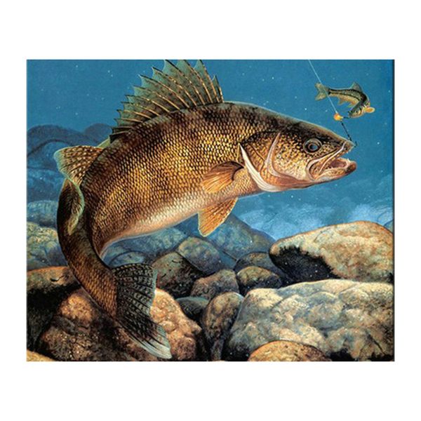 paintings diy diamond painting cross stitch fish mosaic embroidery carp round full pattern rhinestone kits for needlework by558
paintings diy diamond painting cross stitch fish mosaic embroidery carp round full pattern rhinestone kits for needlework by558