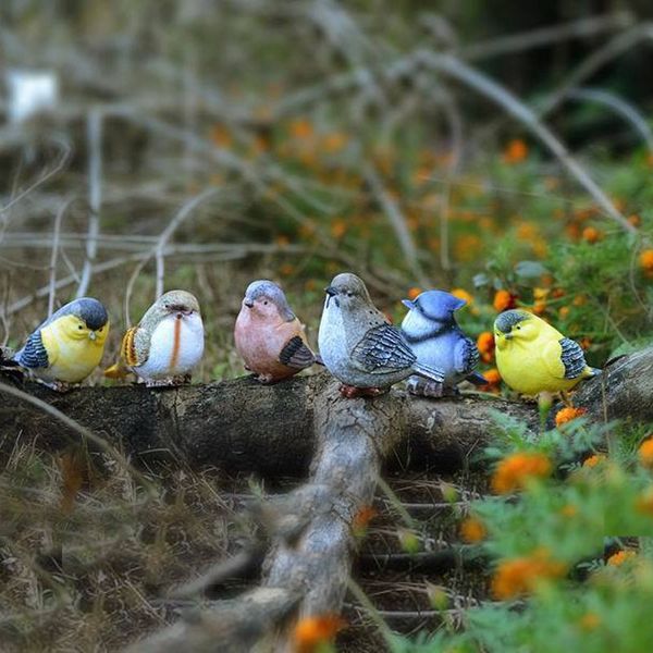 simulation resin bird home garden decor originality arts and crafts birds portable popular selling with various pattern 3 68yz j1
simulation resin bird home garden decor originality arts and crafts birds portable popular selling with various pattern 3 68yz j1