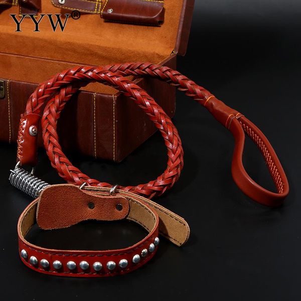 dog collar leash harness lead collar for dog tape belt strong leather rope adjustable training walking products pet supplies
dog collar leash harness lead collar for dog tape belt strong leather rope adjustable training walking products pet supplies