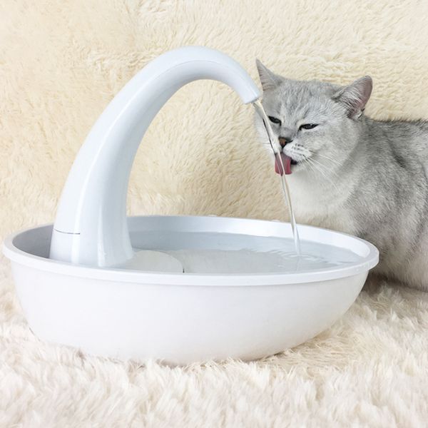 automatic pet cat water dispenser feeding water flowing fountain cat drinking bowl electric water dispenser for cat dog
automatic pet cat water dispenser feeding water flowing fountain cat drinking bowl electric water dispenser for cat dog