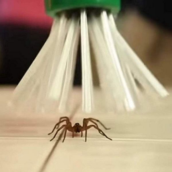 insect trap artifact insect catching spider trap insect catcher home garden hand-held grab spider tool
insect trap artifact insect catching spider trap insect catcher home garden hand-held grab spider tool