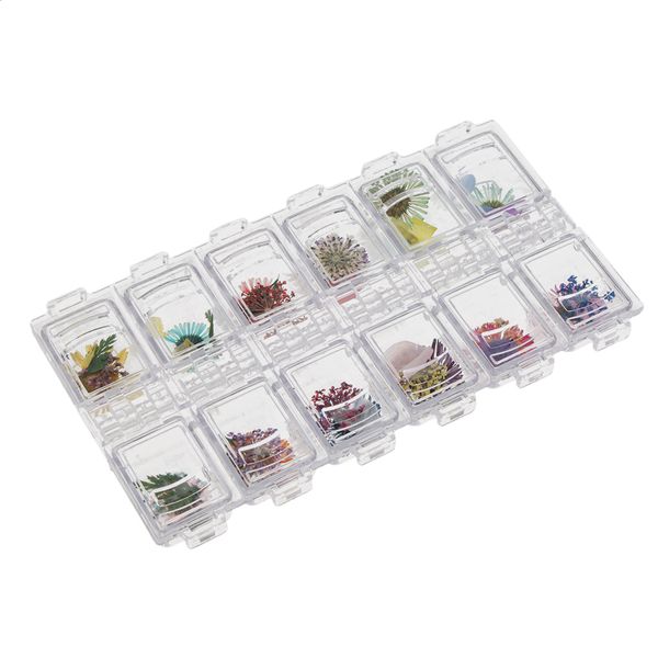 12 colors real dry dried flower for 3d uv gel acrylic false tips nail art salon
12 colors real dry dried flower for 3d uv gel acrylic false tips nail art salon