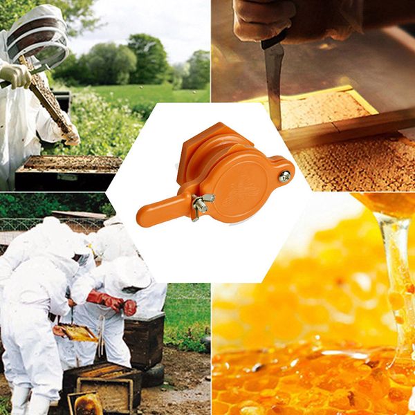 food grade plastic honey gate valves honey extractor honey tap tool beekeeping supplies for beekeepers threaded barrel tool
food grade plastic honey gate valves honey extractor honey tap tool beekeeping supplies for beekeepers threaded barrel tool