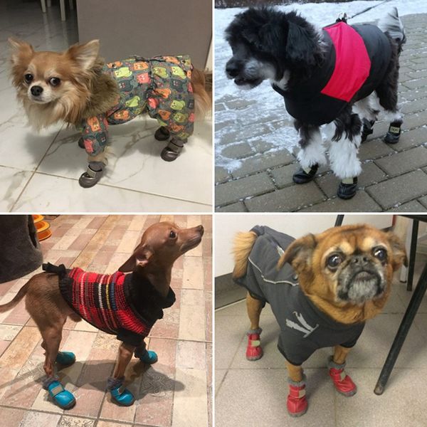 winter pet dog shoes warm snow boots waterproof fur 4pcs/set small dogs cotton non slip xs for chihuahua pug pet product
winter pet dog shoes warm snow boots waterproof fur 4pcs/set small dogs cotton non slip xs for chihuahua pug pet product