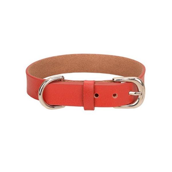 eric salas pet with flat link collar rose madder collares para perros captain america dog collar dog accessories bdegarden malti
eric salas pet with flat link collar rose madder collares para perros captain america dog collar dog accessories bdegarden malti