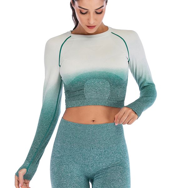 2019 women seamless yoga shirts long sleeve crop fitness gym shirts workout running clothes sportswear neck, White;red
2019 women seamless yoga shirts long sleeve crop fitness gym shirts workout running clothes sportswear neck, White;red