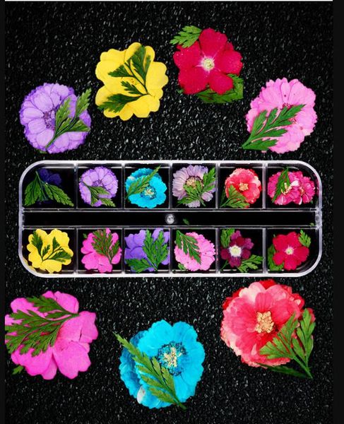30 colors nail dried flower nail art decoration real dry dried flower for 3d manicure polish summer real preserved floral ,gh147, Silver;gold
30 colors nail dried flower nail art decoration real dry dried flower for 3d manicure polish summer real preserved floral ,gh147, Silver;gold
