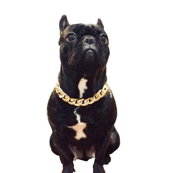 golden & silver pets collars fashion necklace high-end pet dogs cats leashes outdoor personality cute pet bowknot collar accessories
golden & silver pets collars fashion necklace high-end pet dogs cats leashes outdoor personality cute pet bowknot collar accessories
