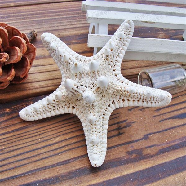 starfish ocean sea star natural tropical wedding party home wall hanging decor 2 6qm uu
starfish ocean sea star natural tropical wedding party home wall hanging decor 2 6qm uu