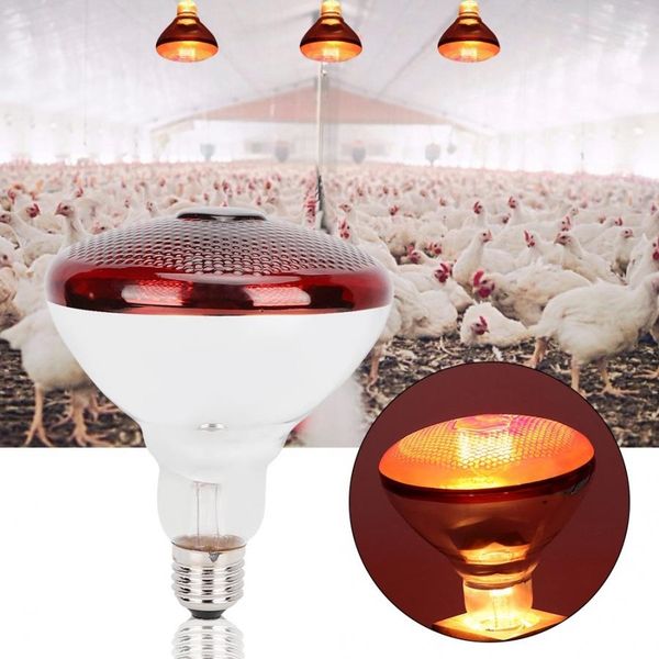 e27 reptile heating light bulb preservation heat lamp bulb infrared ray hatch light bulb for pig chicken animal poultry reptile supplies
e27 reptile heating light bulb preservation heat lamp bulb infrared ray hatch light bulb for pig chicken animal poultry reptile supplies