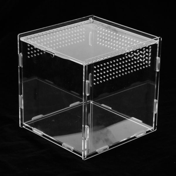 acrylic clear reptiles box anti-escape breeding tank for lizard chameleon frog
acrylic clear reptiles box anti-escape breeding tank for lizard chameleon frog