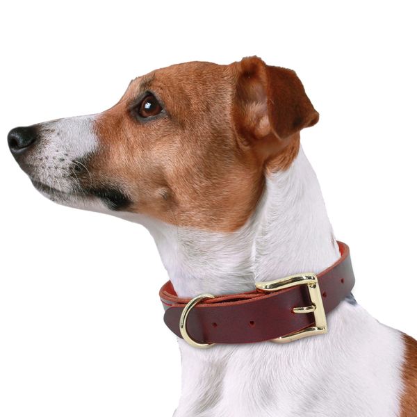 dog puppy collar genuine leather pet collars for small medium large dogs real leather german shepherd big dog collar xs-xxl
dog puppy collar genuine leather pet collars for small medium large dogs real leather german shepherd big dog collar xs-xxl