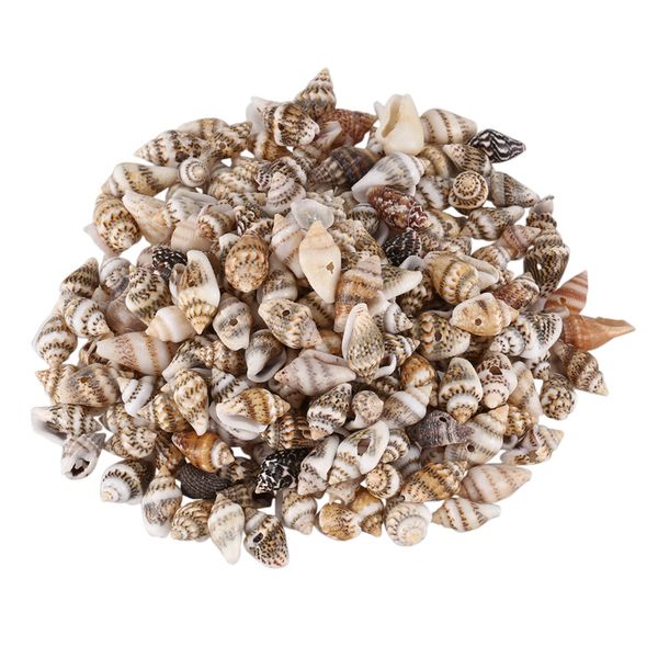mini craft shells 13-16mm with hole for threading, kid's craft activities, jewellery making- pack of 200
mini craft shells 13-16mm with hole for threading, kid's craft activities, jewellery making- pack of 200