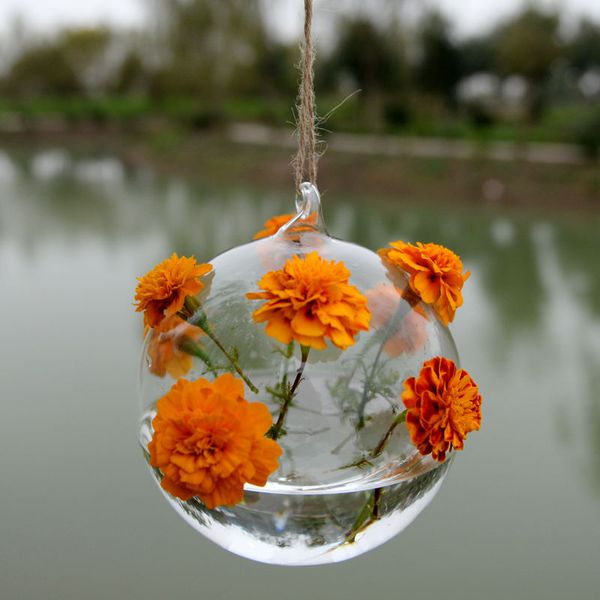 fashion transparent home garden clear glass flower plant stand hanging vase planter terrarium container new home office decor
fashion transparent home garden clear glass flower plant stand hanging vase planter terrarium container new home office decor