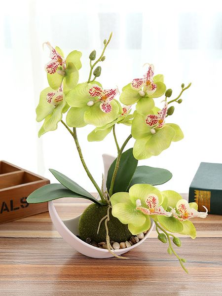 trigeminal phalaenopsis artificial flower bonsai (with basin) creative ornaments simulation plant pots artificial flowers
trigeminal phalaenopsis artificial flower bonsai (with basin) creative ornaments simulation plant pots artificial flowers