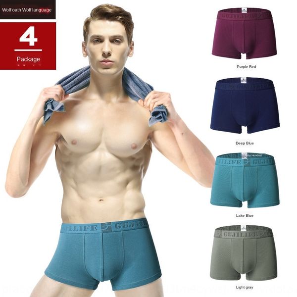 cnl8q underwear boxed men's boxer young men's large size breathable personality fashion four-legged underwear head underpants unde, Black;white
cnl8q underwear boxed men's boxer young men's large size breathable personality fashion four-legged underwear head underpants unde, Black;white
