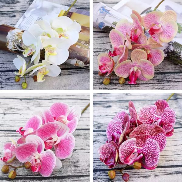 6heads 3d пеаи икђвеннй phalaenopsis веок дл дома вадебнй декоѬ tabletop
6heads 3d пеаи икђвеннй phalaenopsis веок дл дома вадебнй декоѬ tabletop