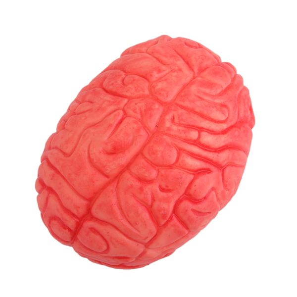 soft rubber realistic human brain haunted house halloween party pgraphy props decor
soft rubber realistic human brain haunted house halloween party pgraphy props decor
