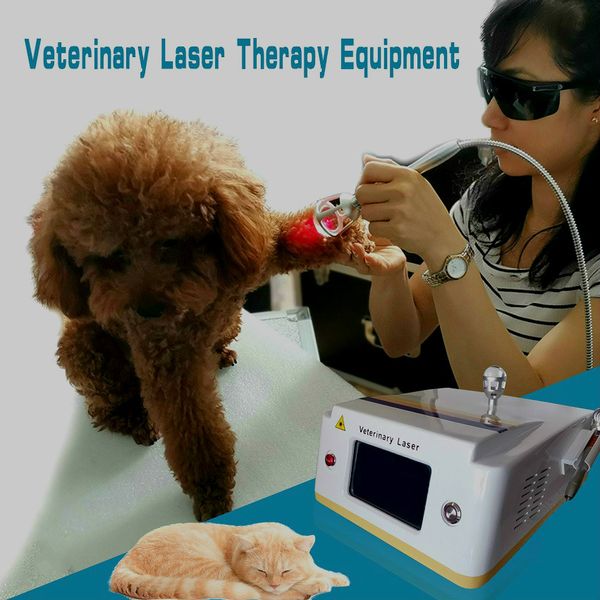 2020 medical veterinary use lllt cold laser therapy device for animals wound healing dogs pain relieve instrument for sale
2020 medical veterinary use lllt cold laser therapy device for animals wound healing dogs pain relieve instrument for sale