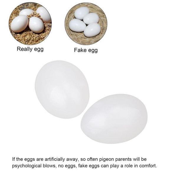 for racing homing pigeons help pigeons hatch 10pcs solid plastic eggs pigeon eggs dummy 2.6*3.6cm new sale useful
for racing homing pigeons help pigeons hatch 10pcs solid plastic eggs pigeon eggs dummy 2.6*3.6cm new sale useful