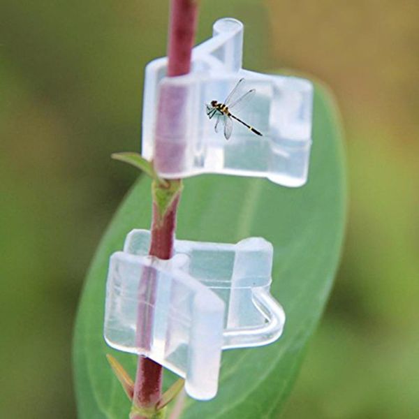 afbc 100pcs garden plants seedling tools fruit vegetable grafting clips other garden supplies
afbc 100pcs garden plants seedling tools fruit vegetable grafting clips other garden supplies