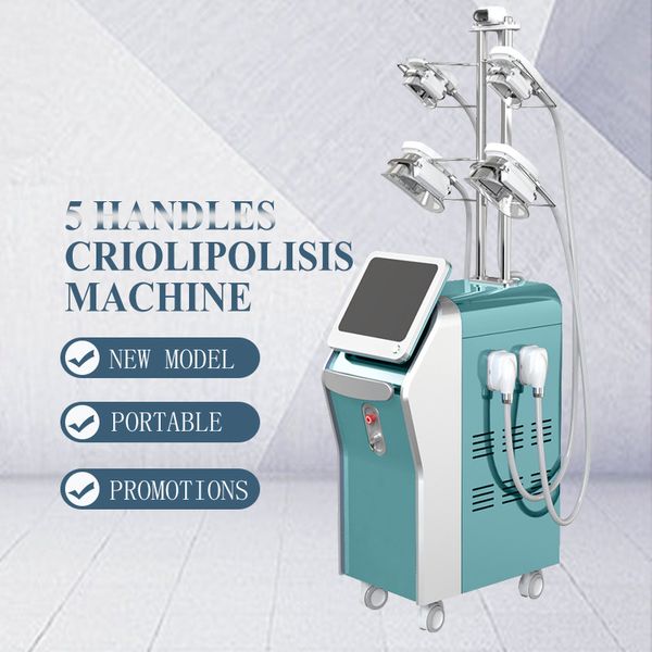 360 5 cryolipolysis hand body shaping beauty equipment for weight loss with 4 cryo fat e handles
360 5 cryolipolysis hand body shaping beauty equipment for weight loss with 4 cryo fat e handles