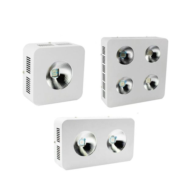 led grow light 1200w cob full spectrum fitolamp for vegetables lettuce seeding greenhouse plants growing led phyto lamp
led grow light 1200w cob full spectrum fitolamp for vegetables lettuce seeding greenhouse plants growing led phyto lamp
