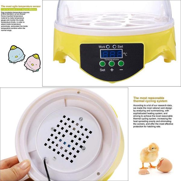 30w mini 7 egg incubator poultry incubator brooder digital temperature control egg incubator hatcher for chicken bird egg
30w mini 7 egg incubator poultry incubator brooder digital temperature control egg incubator hatcher for chicken bird egg