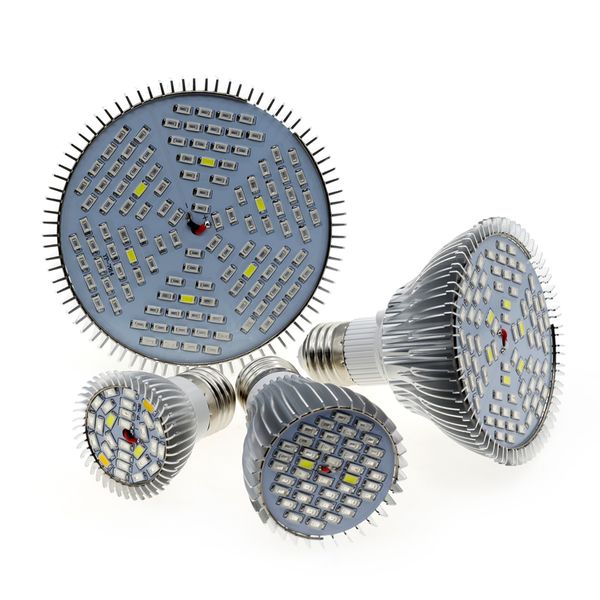 full spectrum e27 grow light for indoor hydroponics vegetables plants led growth lamp increase yield led growing bulb ms009
full spectrum e27 grow light for indoor hydroponics vegetables plants led growth lamp increase yield led growing bulb ms009