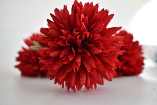 нове пѬодђк пно многоелевой бђке 8 веов веѬде лепеки одђваника 67 м
нове пѬодђк пно многоелевой бђке 8 веов веѬде лепеки одђваника 67 м