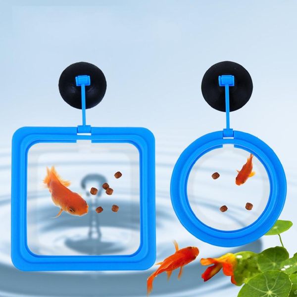 fish food aquarium ring fish tank small type feeder tropical fish feeding ring aquarium accessories
fish food aquarium ring fish tank small type feeder tropical fish feeding ring aquarium accessories