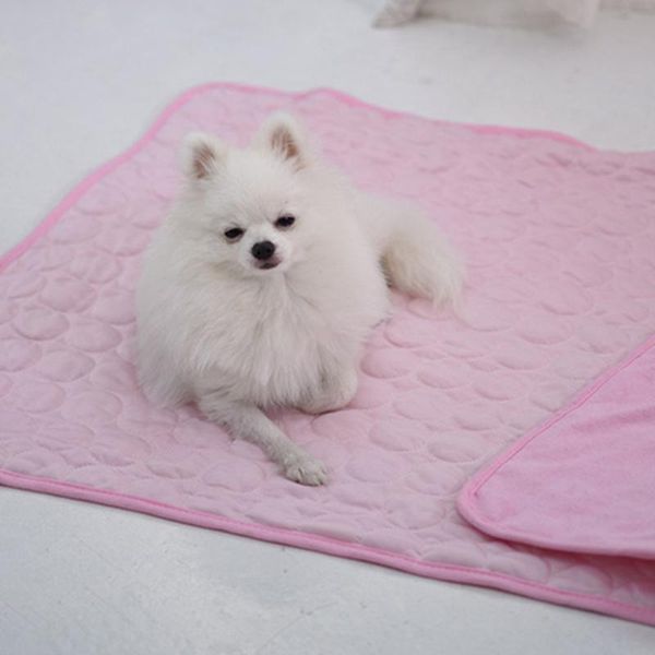 pet cooling mat self cooling pad pressure activated comfort cooler non-toxic gel mat for dogs cats for outdoor bed
pet cooling mat self cooling pad pressure activated comfort cooler non-toxic gel mat for dogs cats for outdoor bed
