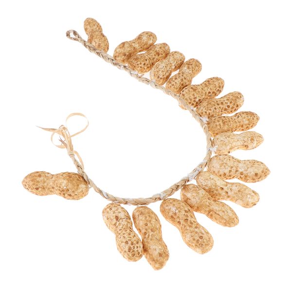 fake peanuts simulation artificial lifelike fake vegetable food one string of peanuts
fake peanuts simulation artificial lifelike fake vegetable food one string of peanuts