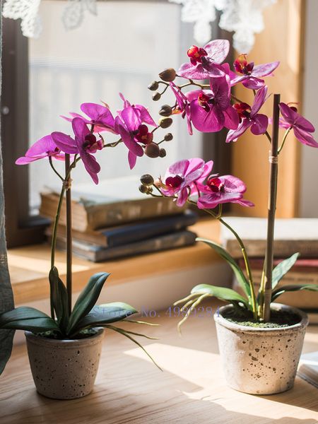 nordic creative artificial flower phalaenopsis bonsai deskdecorative ornaments wedding decoration artificial flowers
nordic creative artificial flower phalaenopsis bonsai deskdecorative ornaments wedding decoration artificial flowers