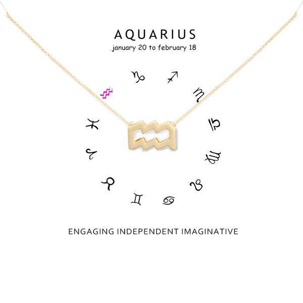 minimalism 12 constellation aquarius necklaces for women zodiac gold sliver chains necklace valentine's gifts fashion jewelry, Silver
minimalism 12 constellation aquarius necklaces for women zodiac gold sliver chains necklace valentine's gifts fashion jewelry, Silver