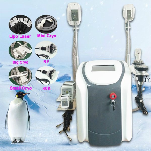 new fat ing machine professional double fat ing machine professional handles for choosing rf fat e slimming machine
new fat ing machine professional double fat ing machine professional handles for choosing rf fat e slimming machine