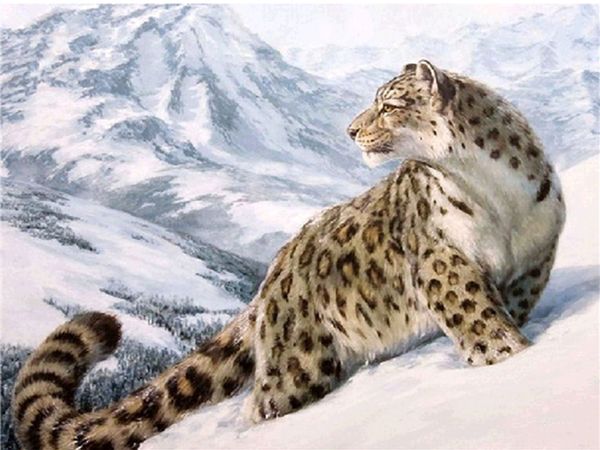 animals cute leopard 5d diy diamond painting home decoration wall painting of diamond mosaic embroidery painting
animals cute leopard 5d diy diamond painting home decoration wall painting of diamond mosaic embroidery painting