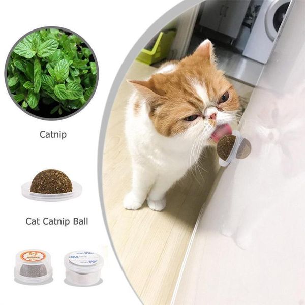 кошки natural mint съедобные бал котик интерактивная укусы catnip игра игрушки для cat kitten закусочная здоровый уход mint болл
кошки natural mint съедобные бал котик интерактивная укусы catnip игра игрушки для cat kitten закусочная здоровый уход mint болл