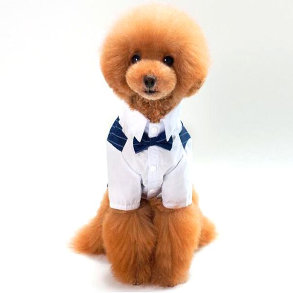 pet supplies clothes for small dog clothing 100% cotton pet dog suit pet wedding striped gentleman dog clothes puppy shirt dress
pet supplies clothes for small dog clothing 100% cotton pet dog suit pet wedding striped gentleman dog clothes puppy shirt dress
