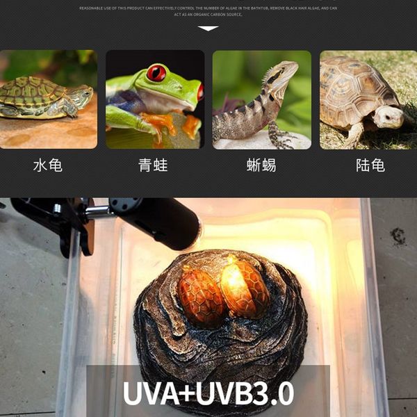 heating lamp holder clamp uva+uvb 3.0 lamp set for turtle reptile infrared ceramic light bulb e27 clip-on base habitat lighting reptile supp
heating lamp holder clamp uva+uvb 3.0 lamp set for turtle reptile infrared ceramic light bulb e27 clip-on base habitat lighting reptile supp