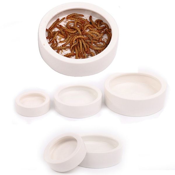 feeding supplies mealworm meal worm dish bowl smart dish feeding bowl wax worm dish