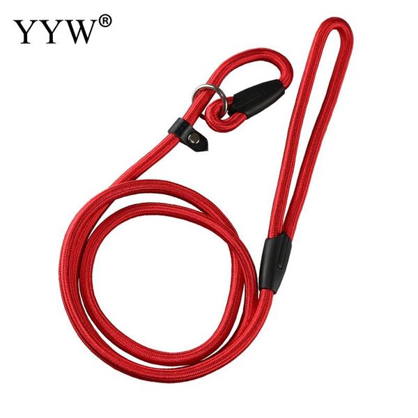 pet dog leash rope nylon adjustable training lead pet dog leash strap rope traction harness collar lead traction
pet dog leash rope nylon adjustable training lead pet dog leash strap rope traction harness collar lead traction
