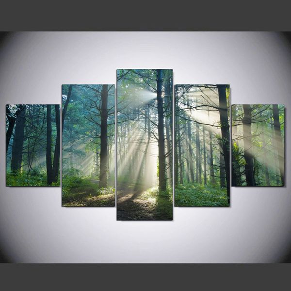 modern wall art pictures sunshine forest natural landscape home decoration posters frame living room no frame
modern wall art pictures sunshine forest natural landscape home decoration posters frame living room no frame